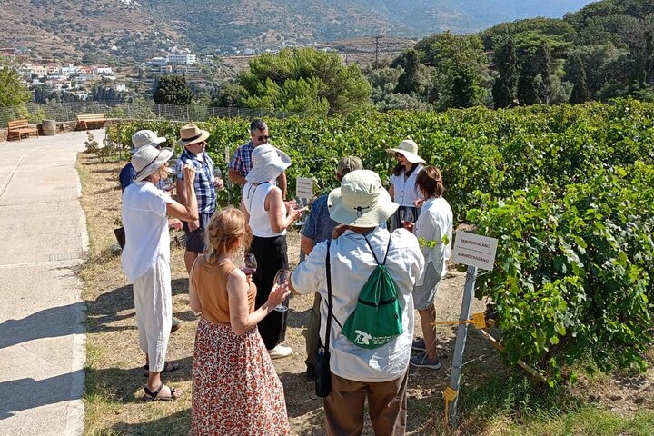 Visite du village des marins et du vignoble, dégustation de vin - Excursion d'une demi-journée