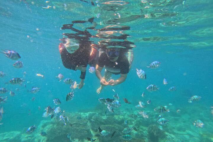 Tour de día completo de buceo con tobogán acuático