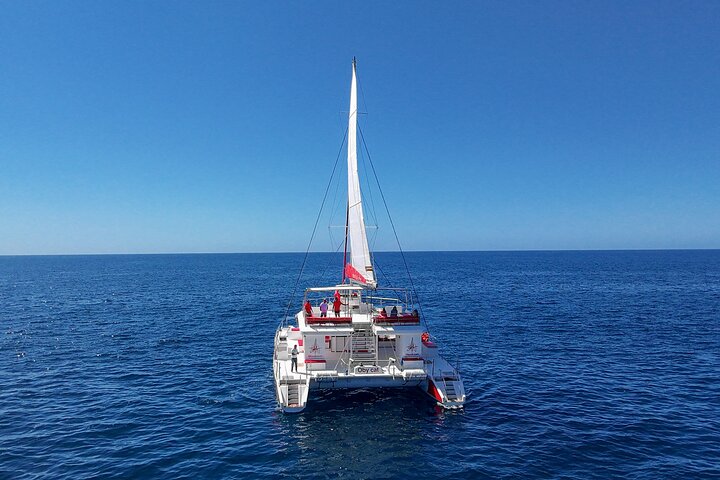 4 - Reis van 4 uur op luxe catamaran in Puerto Rico - Gran Canaria