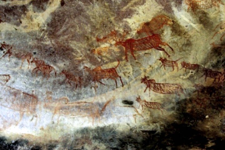 Dagstur Bhopal til Bhimbetka Caves World Heritage og Bhojpur