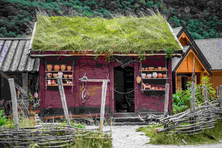 Visite guidée de Viking Village, croisière Nærøyfjorden & Flåm Railway