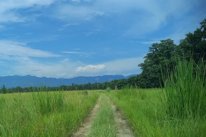 Safari a piedi di un'intera giornata al Parco Nazionale di Bardia Con PRANZO & GUIDA