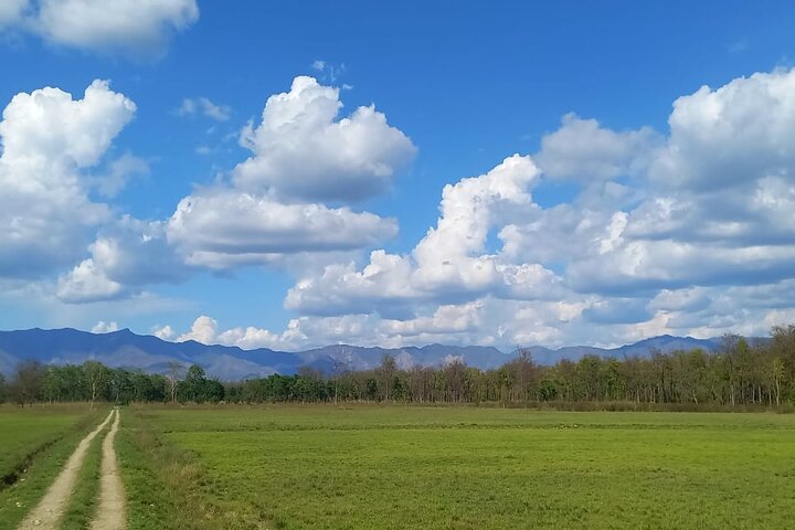 Safari a piedi di un'intera giornata al Parco Nazionale di Bardia Con PRANZO & GUIDA