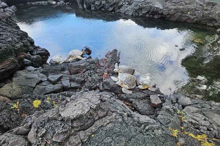 Excursão de um dia pelos vulcões, cachoeiras, praias e destaques de Hilo