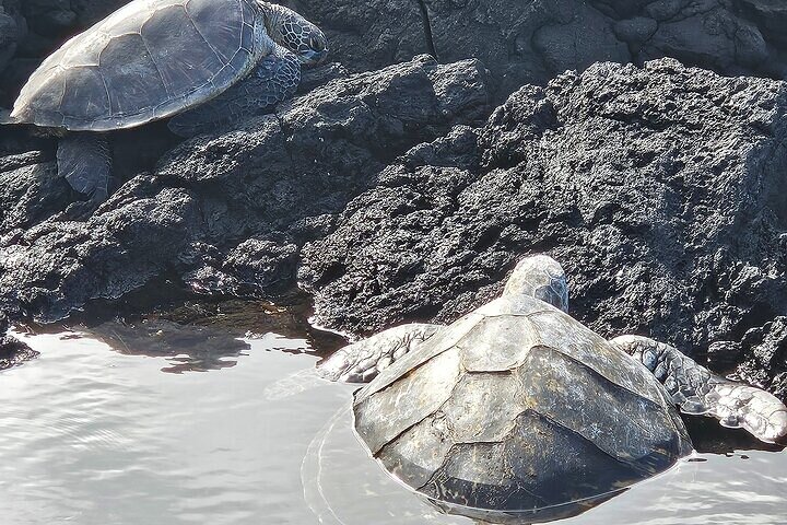 Excursão de um dia pelos vulcões, cachoeiras, praias e destaques de Hilo