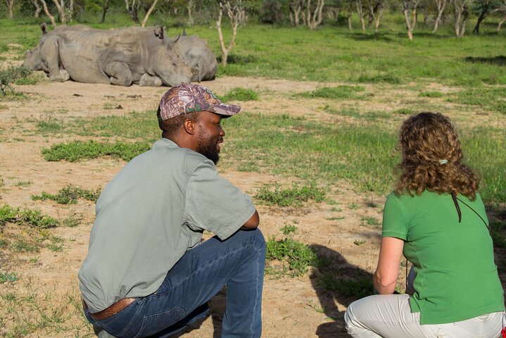 Rastreo de rinocerontes de Matobo y arte rupestre desde Bulawayo