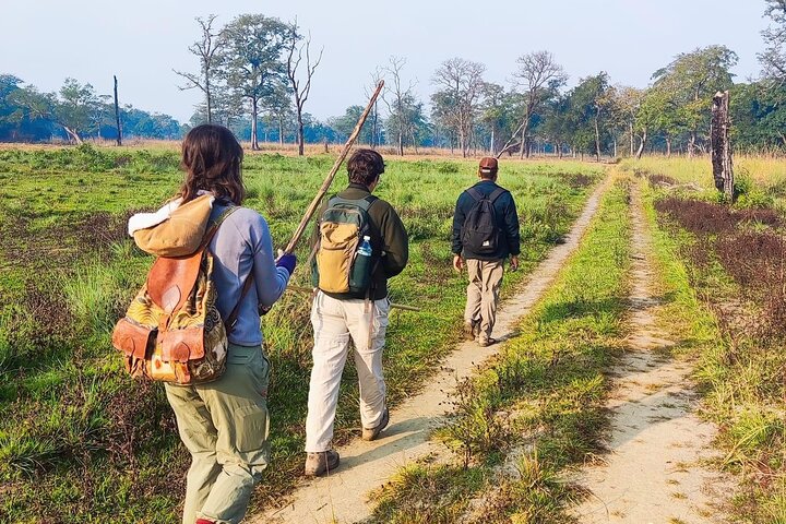 Safari a piedi di un'intera giornata al Parco Nazionale di Bardia Con PRANZO & GUIDA