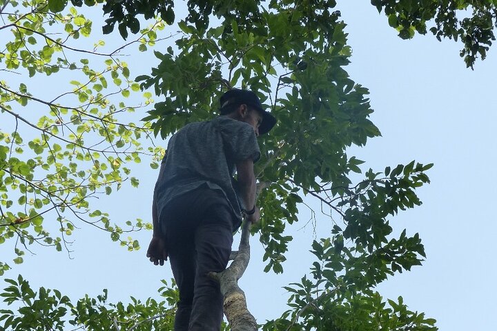Safari a piedi di un'intera giornata al Parco Nazionale di Bardia Con PRANZO & GUIDA