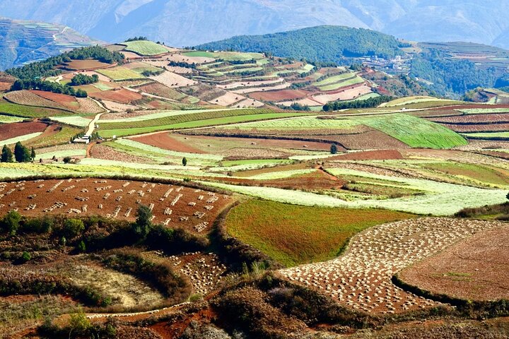 Tour privado de esplendor otoñal de la tierra roja de Dongchuan