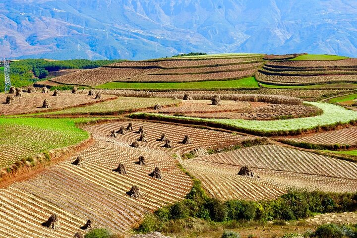 Tour privado de esplendor otoñal de la tierra roja de Dongchuan
