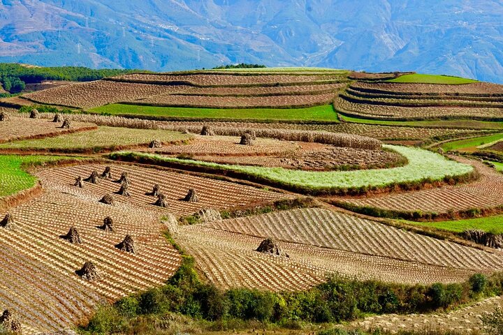 Tour privado de esplendor otoñal de la tierra roja de Dongchuan