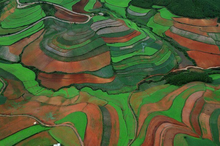 Tour privado de esplendor otoñal de la tierra roja de Dongchuan