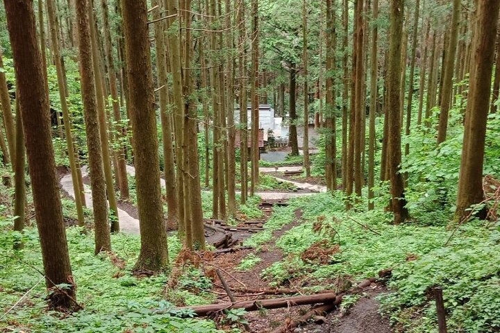 Hotell i nærheten av Takachiho Gorge & Kamishikimi Kumanoimasu Shrine