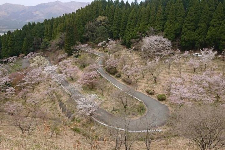 Hotell i nærheten av Takachiho Gorge & Kamishikimi Kumanoimasu Shrine