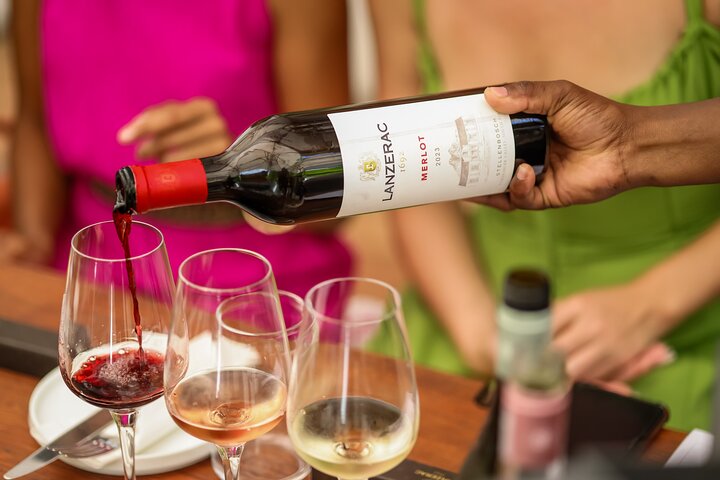 Ciudad del Cabo Winelands – Tour en tranvía y Stellenbosch por Franschhoek Wine