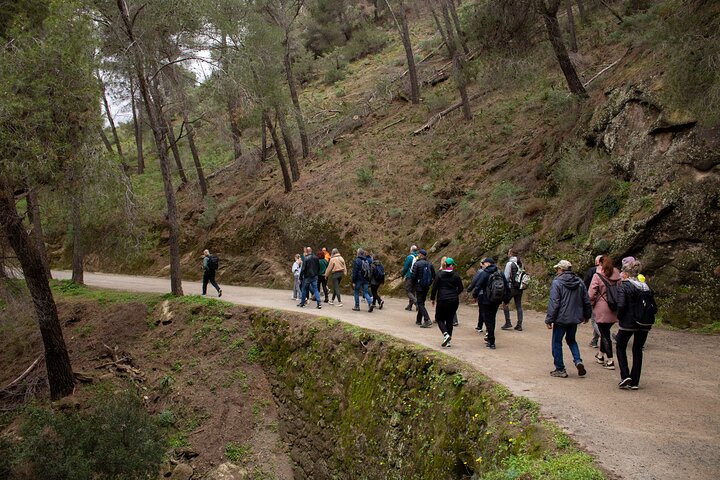 Tagesausflug zum Caminito del Rey von der Costa del Sol aus