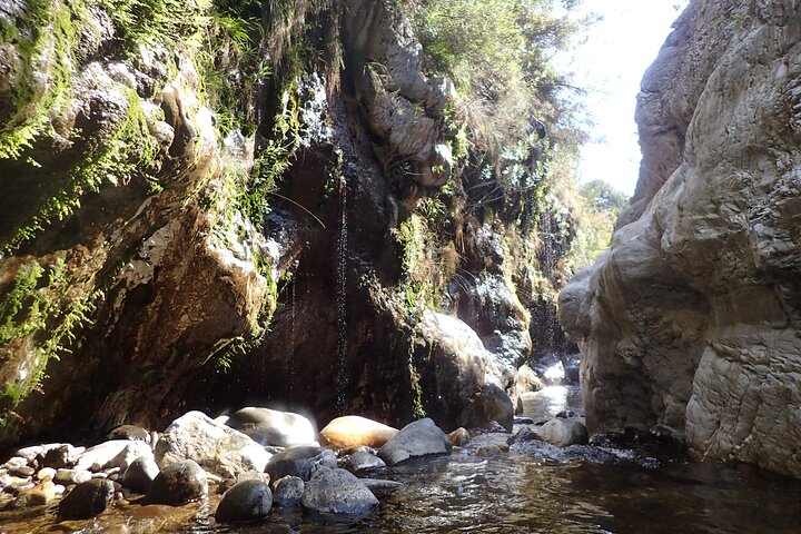 Desde Marbella: Tour de Barranquismo en el Cañón de Guadalmina