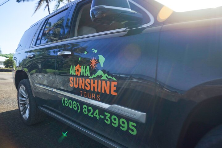 Strada privata per Hana Rainforest & Waterfall Experience da Maui