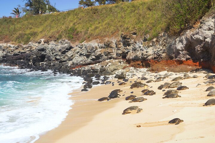 Strada privata per Hana Rainforest & Waterfall Experience da Maui