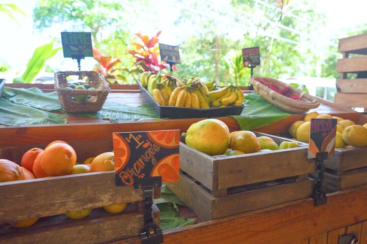 Vej til Hana Deluxe regnskov og vandfald oplevelse fra Maui