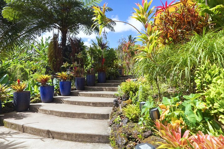 Strada privata per Hana Rainforest & Waterfall Experience da Maui