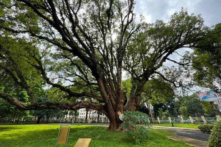 Buon Ma Thuot Patrimoine & Café Voyage