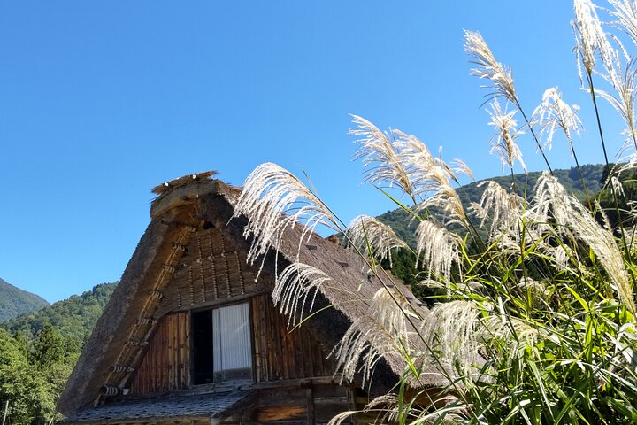 [Visite en bus d'une journée au départ de la gare de Kanazawa] Visite de Shirakawa-go/Takayama en bus Platinum Route