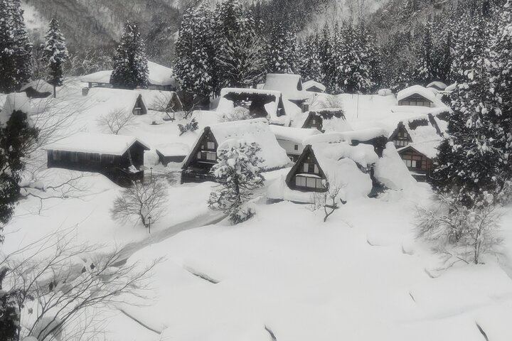 [En-dags bustur med afgang fra Kanazawa Station] Shirakawa-go og Gokayama, to verdensarvslandsbyer bustur