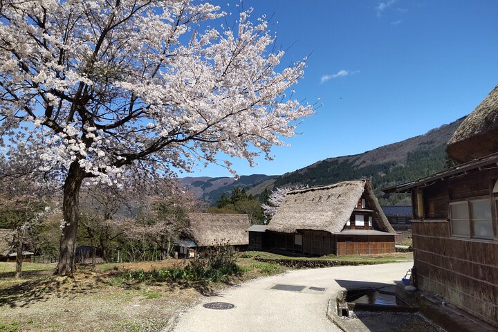 [En-dags bustur med afgang fra Kanazawa Station] Shirakawa-go og Gokayama, to verdensarvslandsbyer bustur