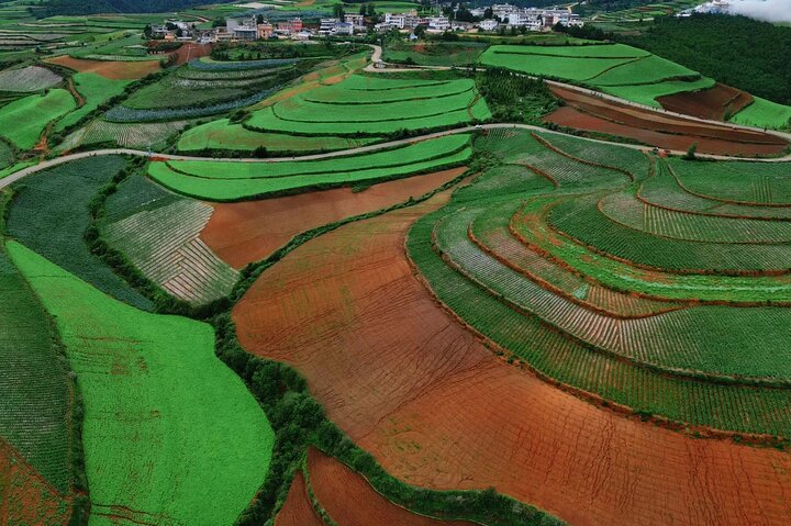 Tour privado de esplendor otoñal de la tierra roja de Dongchuan