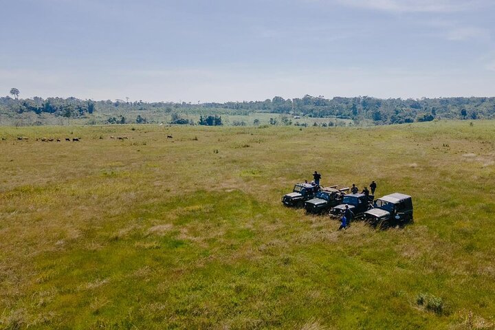 Dagstur med jeep og Mystic Mountain Coffee Farm