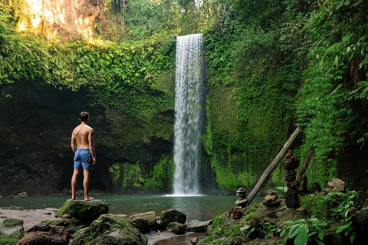 Ubud : All-inclusive privétour met waterval, tempel en rijstterras