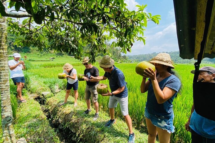 Ubud : All-inclusive privétour met waterval, tempel en rijstterras