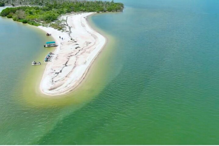 Recorrido ecológico por la playa en barco con manatíes, delfines y 10 000 islas