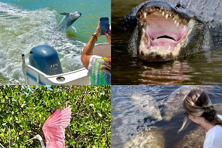 Recorrido ecológico por la playa en barco con manatíes, delfines y 10 000 islas