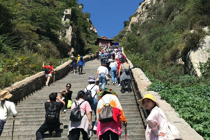 3-dagers høydepunkter i Shandong med kuletog fra Beijing