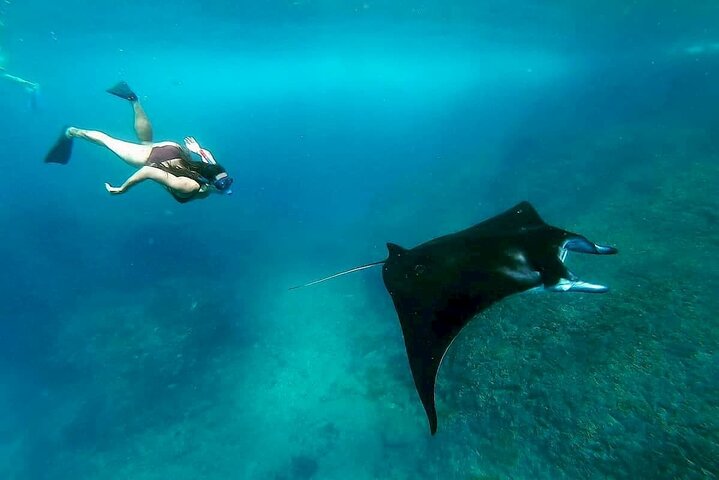 Nusa Penida Island West Snorkeling avec des raies mantas
