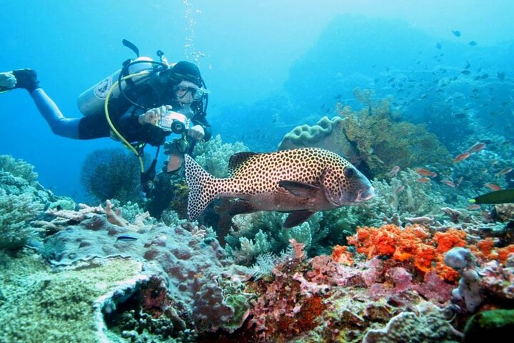 Nusa Penida Island West Snorkeling avec des raies mantas