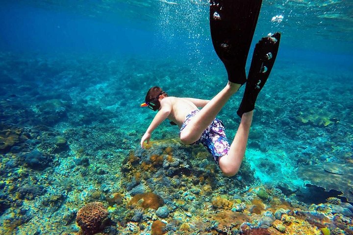 Nusa Penida Island West Snorkeling avec des raies mantas