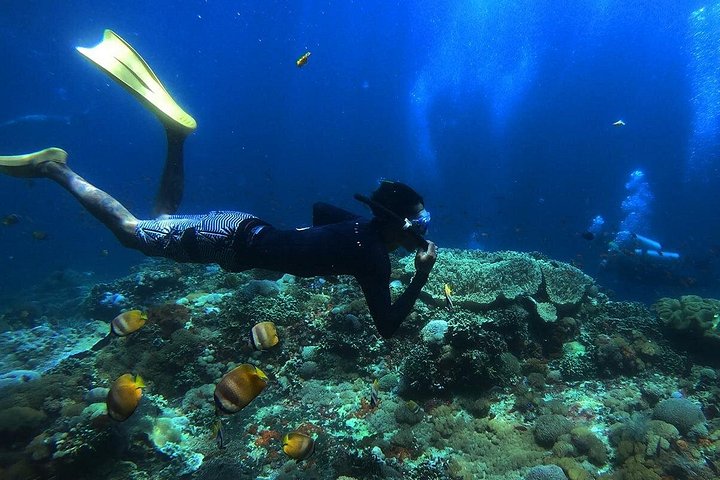 Nusa Penida Island West Snorkeling avec des raies mantas