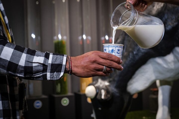 Gouda besøg med tog med Cheese Experience Indgang fra Amsterdam