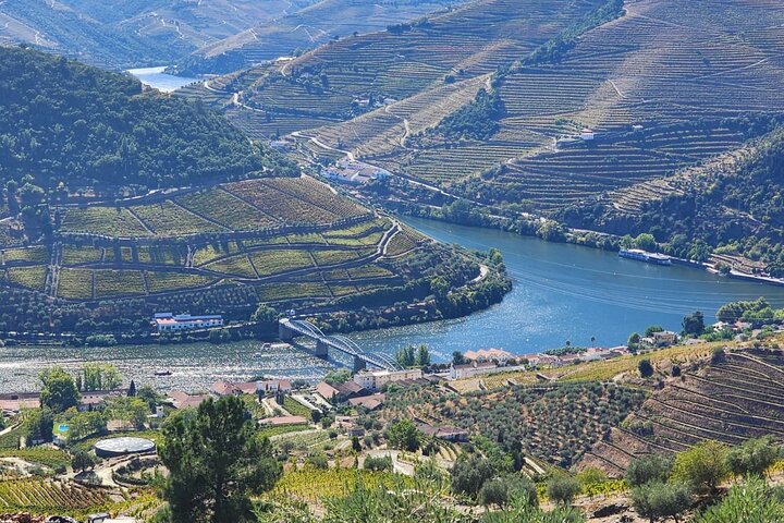 Privat Douro Valley Tour (2 vingårder + båt)