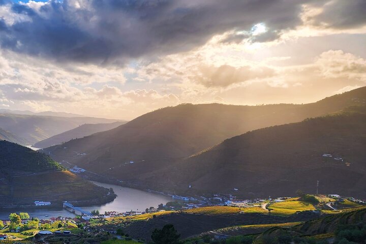 Privat Douro Valley Tour (2 vingårder + båt)