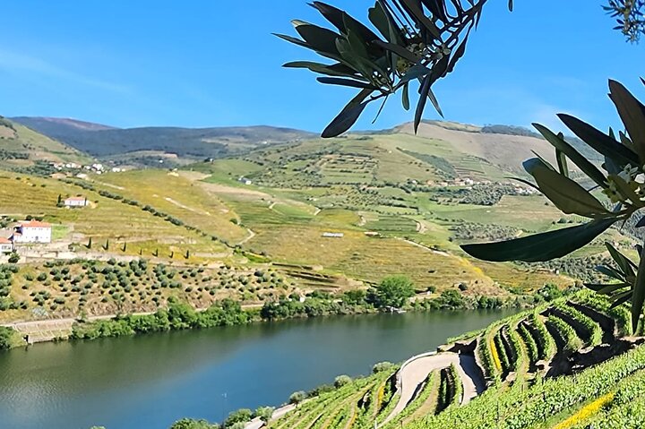 Privat Douro Valley Tour (2 vingårder + båt)