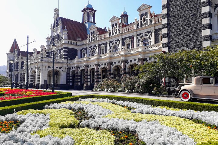 Dunedin City Highlights, Otago Peninsula Scenery & Albatross Guidet tur