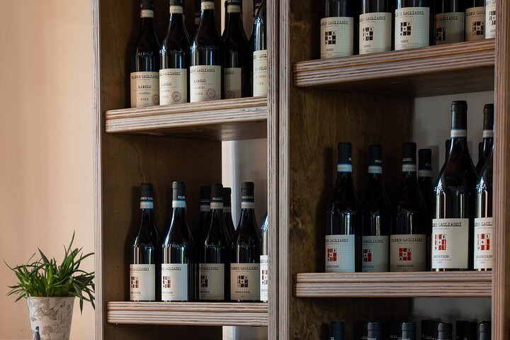 Dégustation de Barolo et visite des vignobles