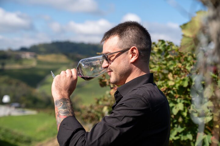Dégustation de Barolo et visite des vignobles