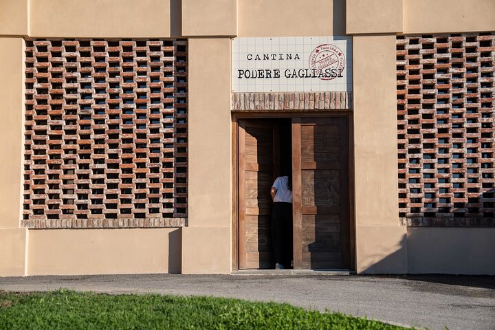 Dégustation de Barolo et visite des vignobles