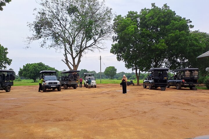 Udawalawe Safari com Hotel Pick-up e todos os transportes - Tour Privado