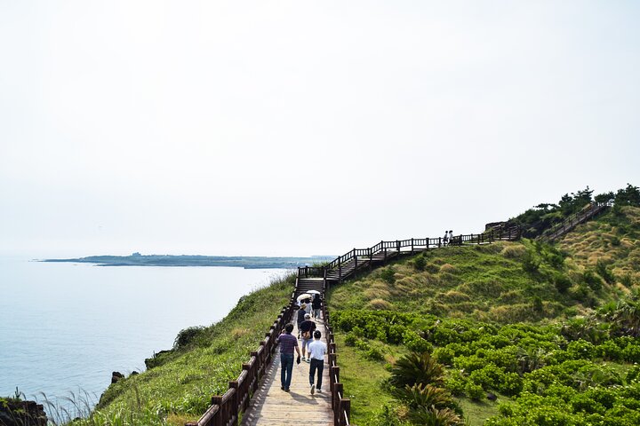 Volledige dag aanpasbare privétour naar Jeju Island